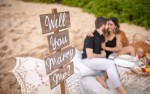 Picnic Proposal Package