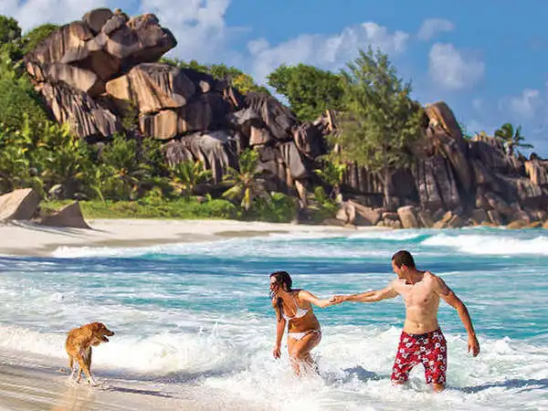 Unveiling Paradise: The Best Seychelles Package from Abu Dhabi by Seychelles Welcome Travel